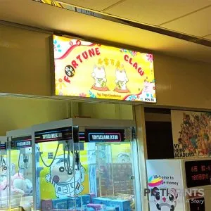Custom Indoor Lightbox