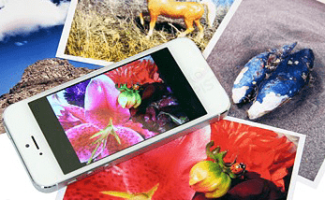 photo-printing-2-347x347